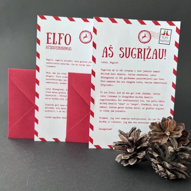 Vardinis Elfo sugrįžimo ir atsisveikinimo laiškas (rinkinys)